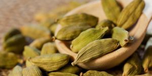 Best Quality Green Cardamom