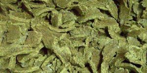 Cotton Oil Seed Cake