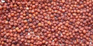 Dehydrated Red Onion Granules