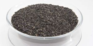 Elite Quality Niger Seeds