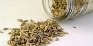 Fennel Seeds