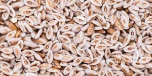 Psyllium Husk