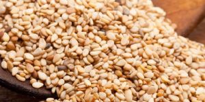 Sesame Seed