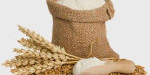 Wheat Flour