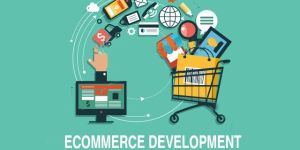 Ecommerce Website Development