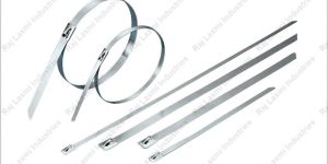 SS Cable Ties