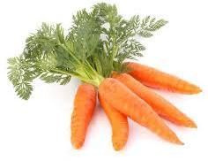 Carrot