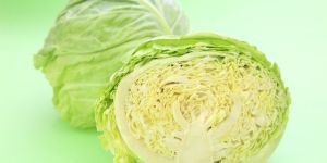Fresh Cabbage