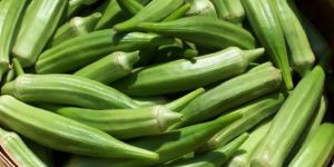 Fresh Okra
