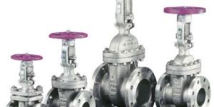 Audco Gate Globe Check Valves