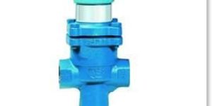 Bellow Type Reducing Valve