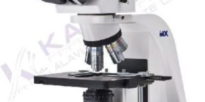 Trinocular Microscope