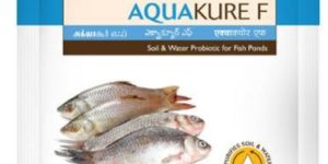 Aquaculture Probiotics