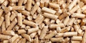 Biomass Pellet