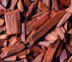 Red Sandalwood