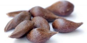 Apple Seeds