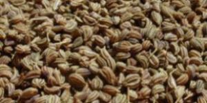 Ajwain Seed