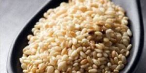Sesame Seed