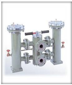 Duplex Basket Filter