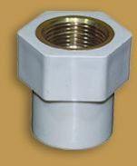 Brass Female Threaded Adaptor