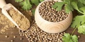 Coriander Seeds