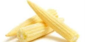 Canned Baby Corn