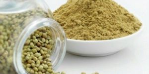 Dried Coriander Powder