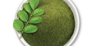 Moringa Leaf Powder