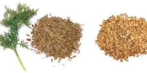 Dill Seed