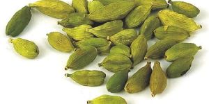 Green Cardamom
