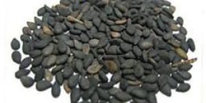 Black Sesame Seeds