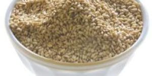 Sesame Seeds