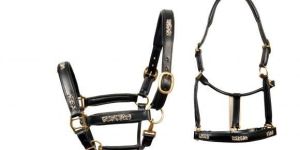 Halters