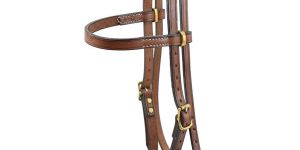 Leather Bridles