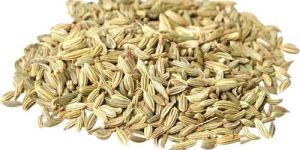 Fennel Seeds