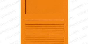 Eco Friendly File Folder