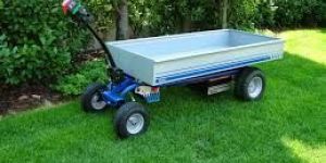 Motorized Trolley