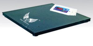 Heavy Duty Platform Scales