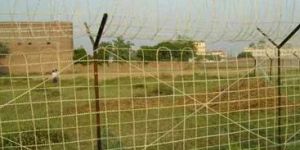 PTCC Wire Fencing