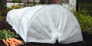Plant Protection Cover
