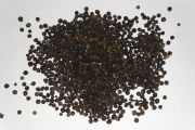 Black Pepper