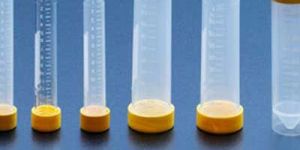 Conical Tube