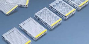 Tissue Culture Plates