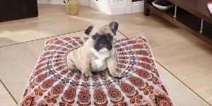 Mandala Dog Bed
