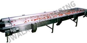 Inspection Conveyor