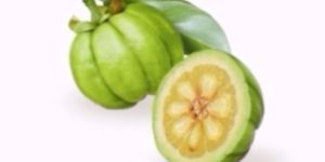 Garcinia Extract (Garcinia Cambogia)