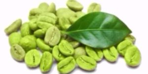 Green Coffee (Coffea Robusta)