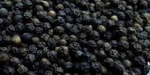 Black Pepper