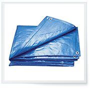 Container Liner
