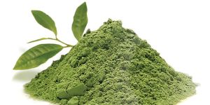 Green Tea Powder